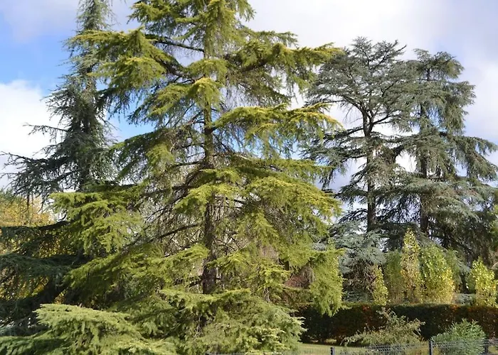 Maison Cosy Confort Dans Un Cadre De Verdure Le Sequestre