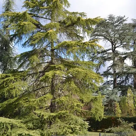 Maison Cosy Confort Dans Un Cadre De Verdure Le Sequestre